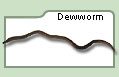 Dewworm